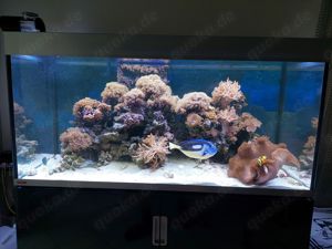 EHEIM Komplett Meerwasseraquarium 400 l mit Unterschrank
