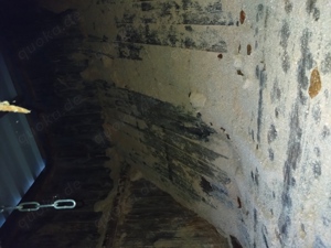 Landwirtschaftlicher Sägemehl Anhänger  Bild 2