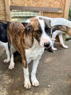 Timi ist der Allerschönste Bild 6