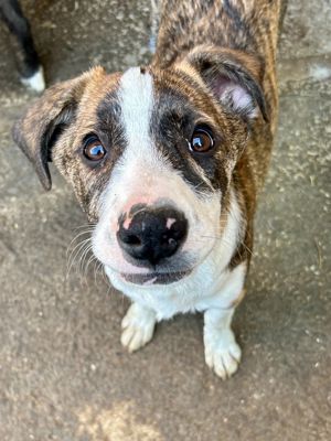 Timi ist der Allerschönste Bild 3