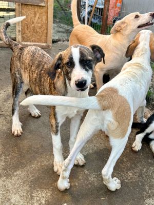 Timi ist der Allerschönste Bild 4