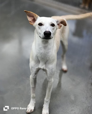 YASMIN wünscht sich eine eigene Familie Bild 9