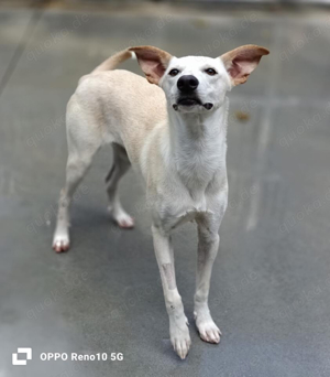 YASMIN wünscht sich eine eigene Familie Bild 6