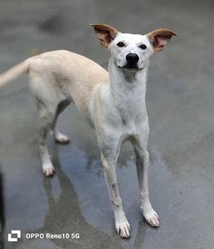 YASMIN wünscht sich eine eigene Familie Bild 7