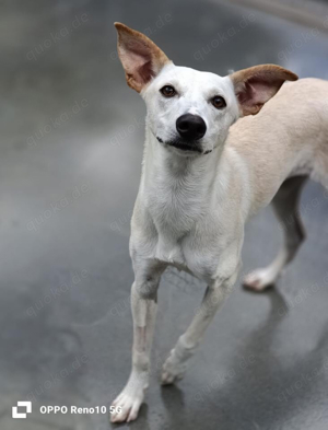 YASMIN wünscht sich eine eigene Familie Bild 8