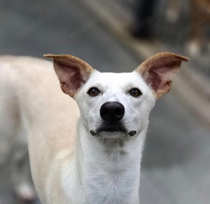 YASMIN wünscht sich eine eigene Familie Bild 5