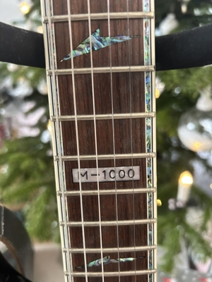Trans Siberian Orchester Paul 0 Neill Orginal E-Gitarre LTD Deluxe M-1000 Unikat Bild 5