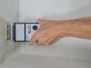 Schimmel - Gutachten in Görlitz ab 99 EUR auch bei Kauf von Wohnung