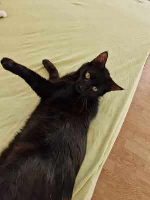 Wim möchte in sein Zuhause Bild 4