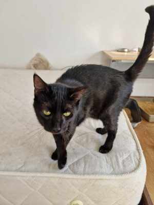 Wim möchte in sein Zuhause