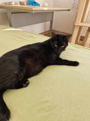 Wim möchte in sein Zuhause Bild 6