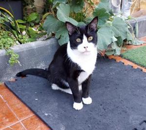 Schatz Biky in Ffm(ALO) Bild 5