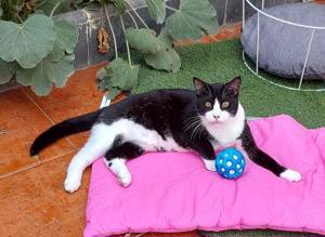 Schatz Biky in Ffm(ALO) Bild 2