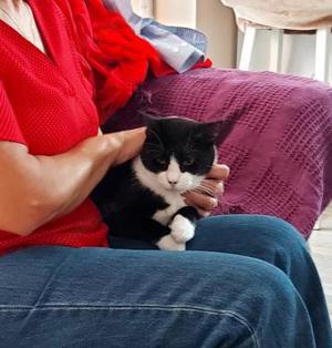 Schatz Biky in Ffm(ALO) Bild 3