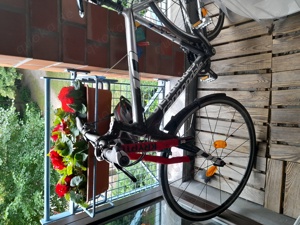 Rennrad abzugeben
