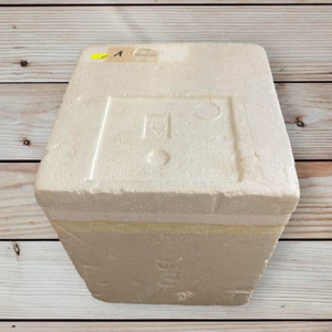 Transportbox