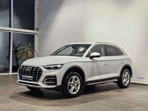 Audi Q5 40 TDI Q. Sport Kameras Matrix Standheizung Bild 5