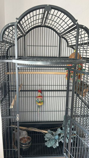 Montana Cages Papagei Käfig
