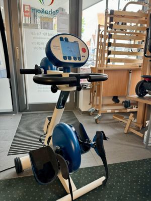 Reck Motomed Trainer Arm und Bein