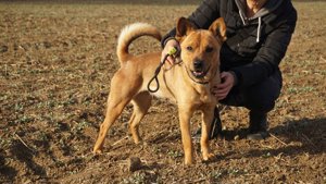 Maggi sucht eine liebe Familie