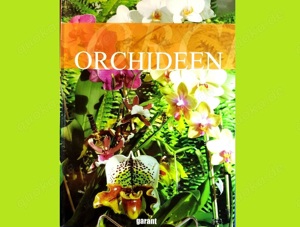 Orchideen, Ratgeber, mit Artenübersicht, Pflegetipps usw., Pflanzen, neuwertig