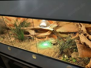Kunststoffterrarium 