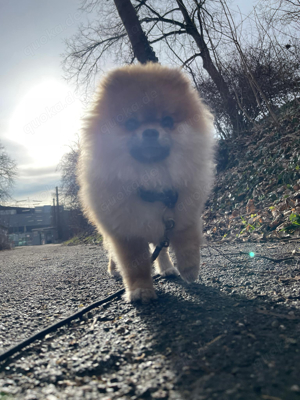 Frka           