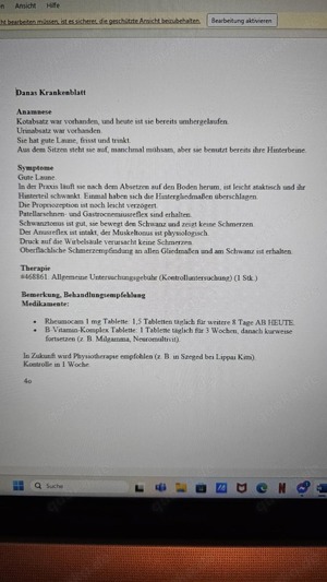 Dana braucht dringend einen Platz,  Bild 4