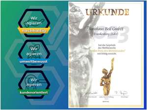 Renault ZOE LIFE Batteriekauf R110 Z Bild 2