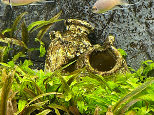 Aquarium Juwel 500 liter Bild 5