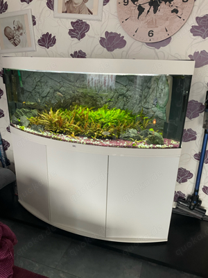 Aquarium Juwel 500 liter Bild 4