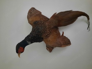 Dachbodenfund Wanddeko  Bild 2