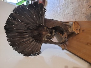 Dachbodenfund Wanddeko Bild 4
