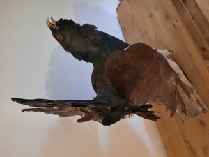 Dachbodenfund Wanddeko Bild 2