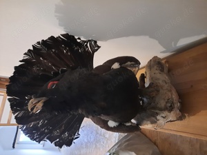 Dachbodenfund Wanddeko Bild 3