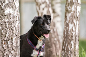 Schöne Nora sucht ein neues Zuhause