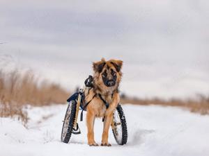 Besonderer Enger sucht tolle Menschen Bild 4