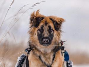 Besonderer Enger sucht tolle Menschen Bild 6