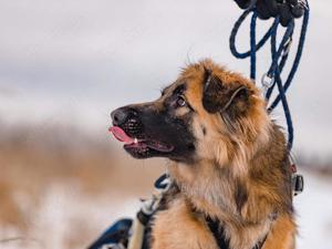 Besonderer Enger sucht tolle Menschen Bild 5