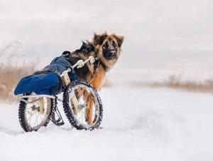 Besonderer Enger sucht tolle Menschen Bild 7