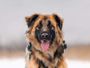 Besonderer Enger sucht tolle Menschen Bild 8