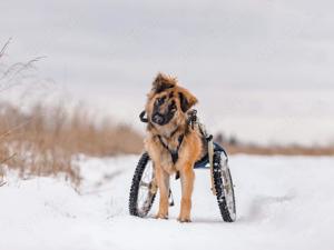 Besonderer Enger sucht tolle Menschen Bild 9