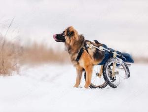 Besonderer Enger sucht tolle Menschen Bild 3