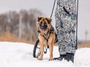 Besonderer Enger sucht tolle Menschen Bild 2