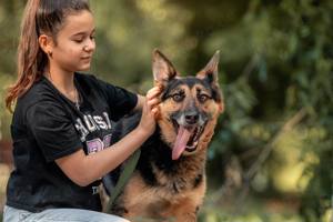 Schöner Vegas sucht liebevolles Zuhause Bild 4