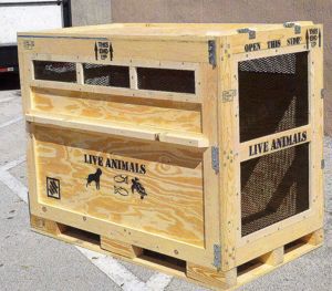  Maßgefertigte Tiertransportkisten nach IATA-Standard   Sicher & Zuverlässig!   