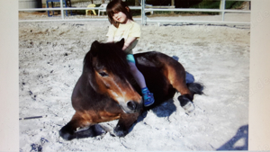 2 Kinderponys suchen Reitbeteiligung ( PsR ) Bild 2