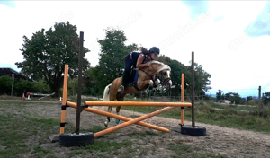 Reitbeteiligung für Pony ( Tunierteilnahme möglich )