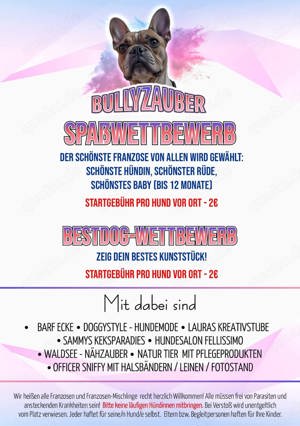 Französisches Bulldoggen Treffen in Aken 