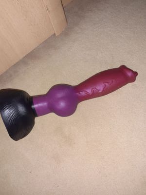 Suche Sie für Pet-play..... Bild 2